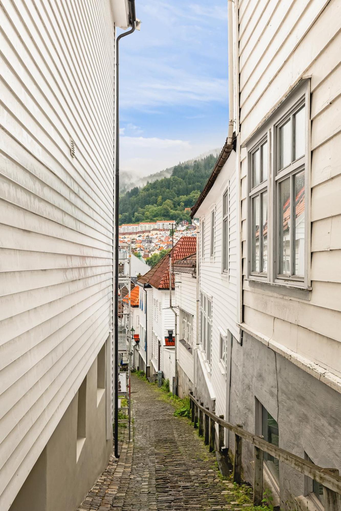 500 M Til Bryggen I Skjermet Uteplass! Апартаменты